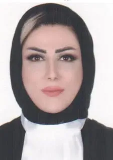 وکیل حمیده نوری میانکلی