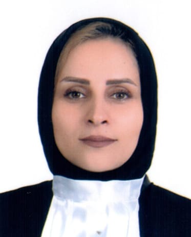 فرشته هدایتی