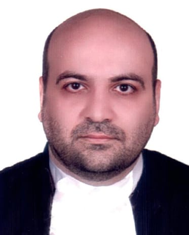 میلادملکی ویایه