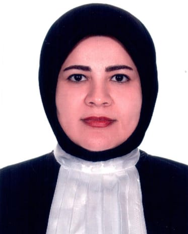 فرشته دانش فر