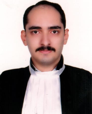 امیر علی لطفجوئی
