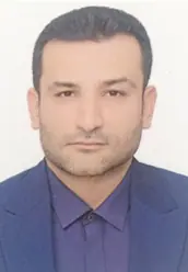 سید مجتبی میرتاج الدینی گوکی