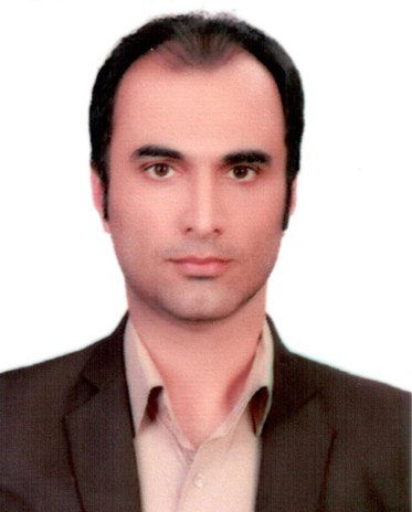 حامد رجبی