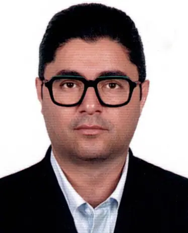 میر محسن ندائی